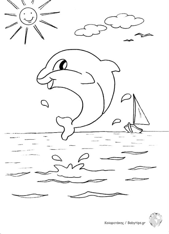 dolphin