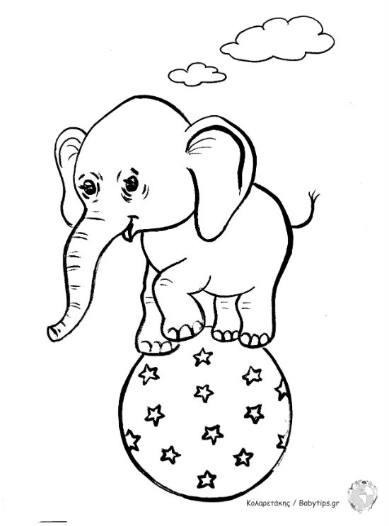 elephant